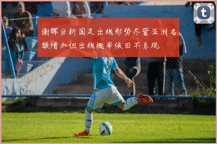 谢晖分析国足出线形势尽管亚洲名额增加但出线概率依旧不乐观