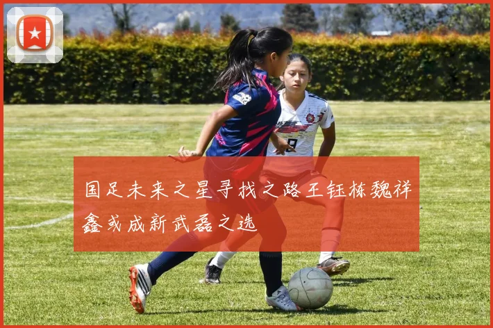 国足未来之星寻找之路王钰栋魏祥鑫或成新武磊之选